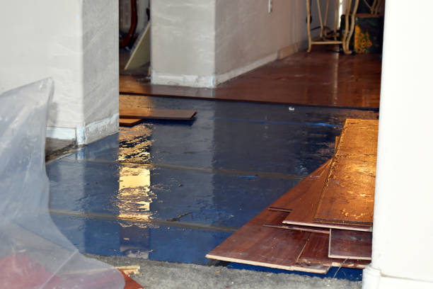 Professional Burst Pipe Cleanup technician working in Devers, TX